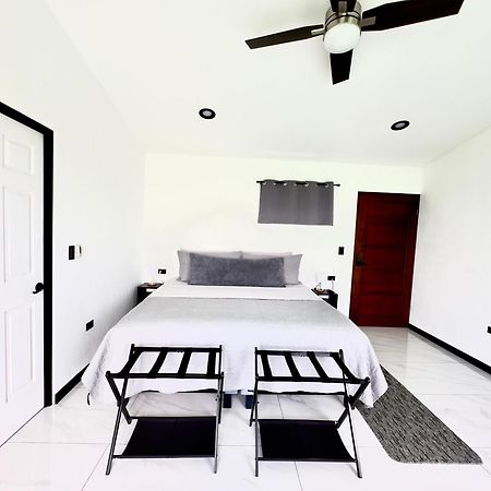 Black & White Apartments Monteverde Dış mekan fotoğraf