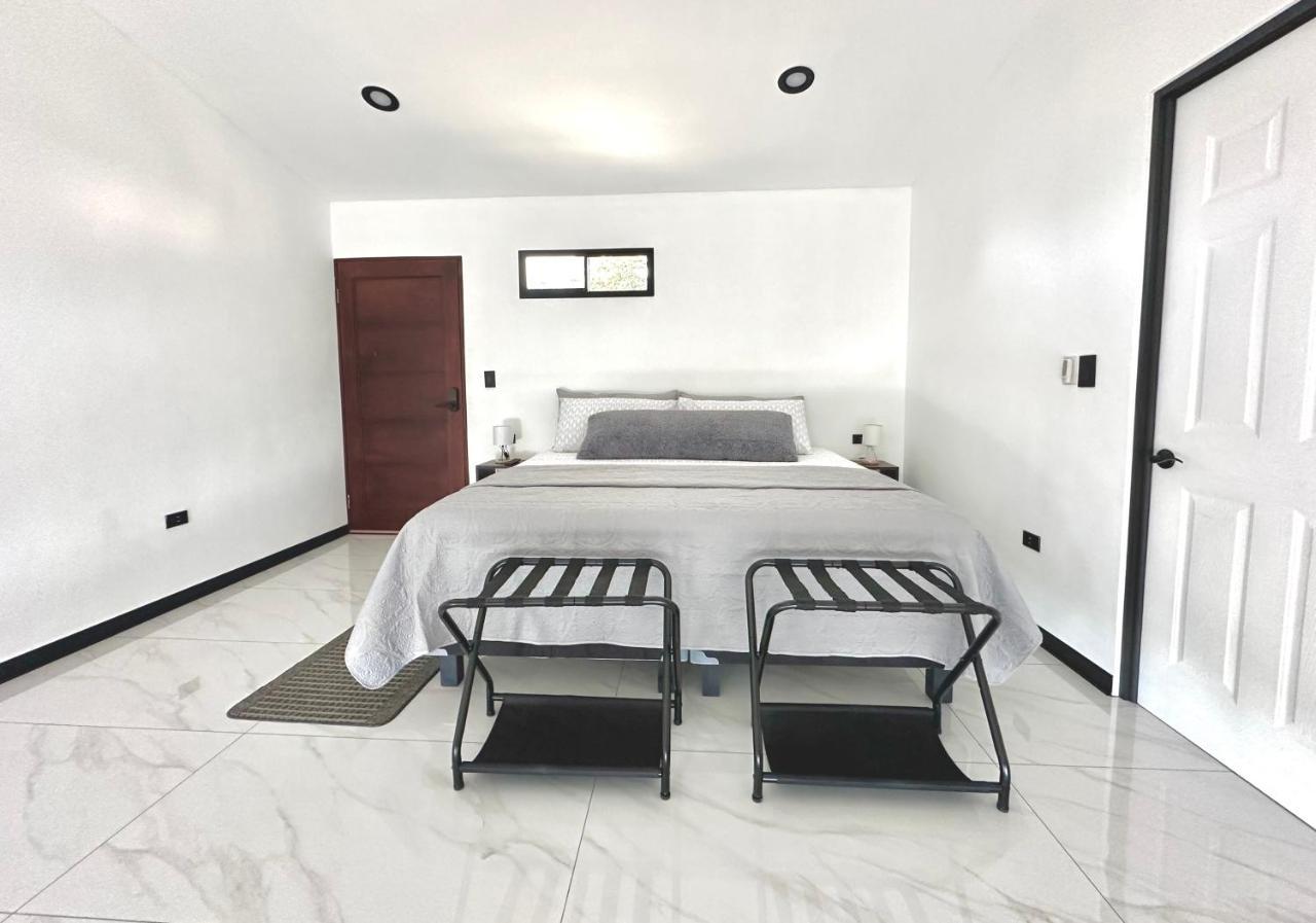 Black & White Apartments Monteverde Dış mekan fotoğraf